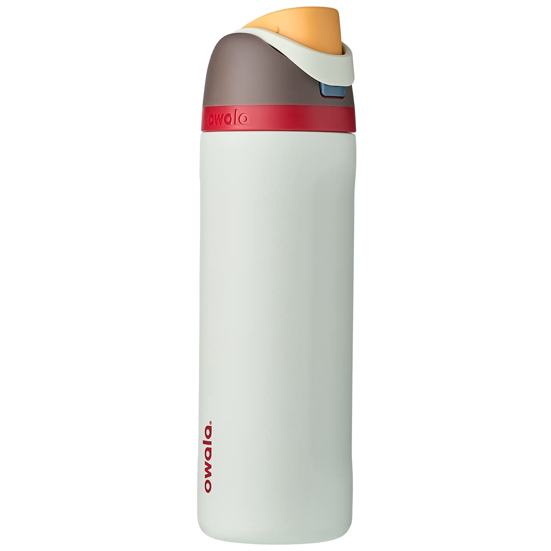 Owala FreeSip Insulated Stainless Steel Water Bottle with Straw for Sports, Travel, and School BPA-Free Sports Water Bottle, 32 oz, Boneyard (Pack of 6)