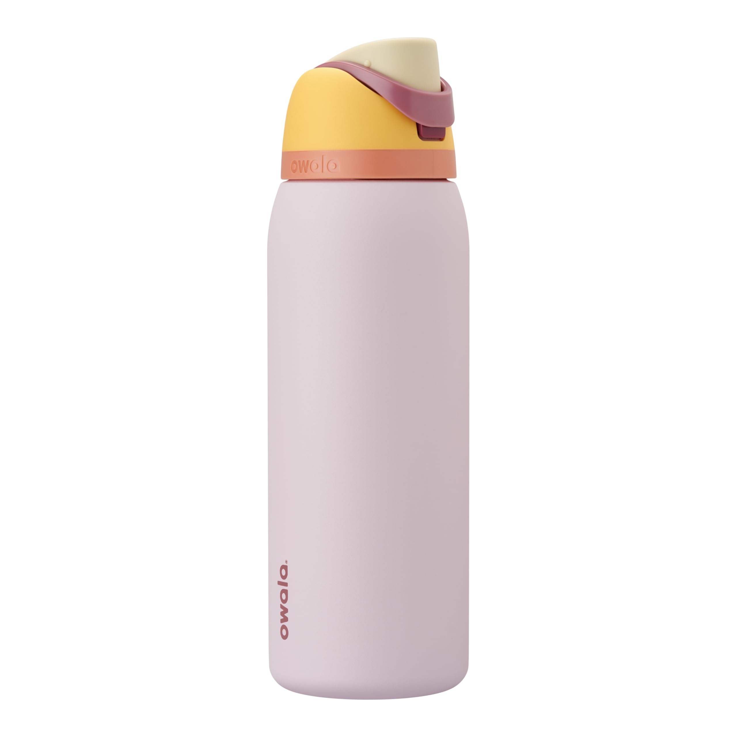 Owala FreeSip Insulated Stainless Steel Water Bottle with Straw for Sports, Travel, and School BPA-Free Sports Water Bottle, 32 oz, Boneyard (Pack of 6)